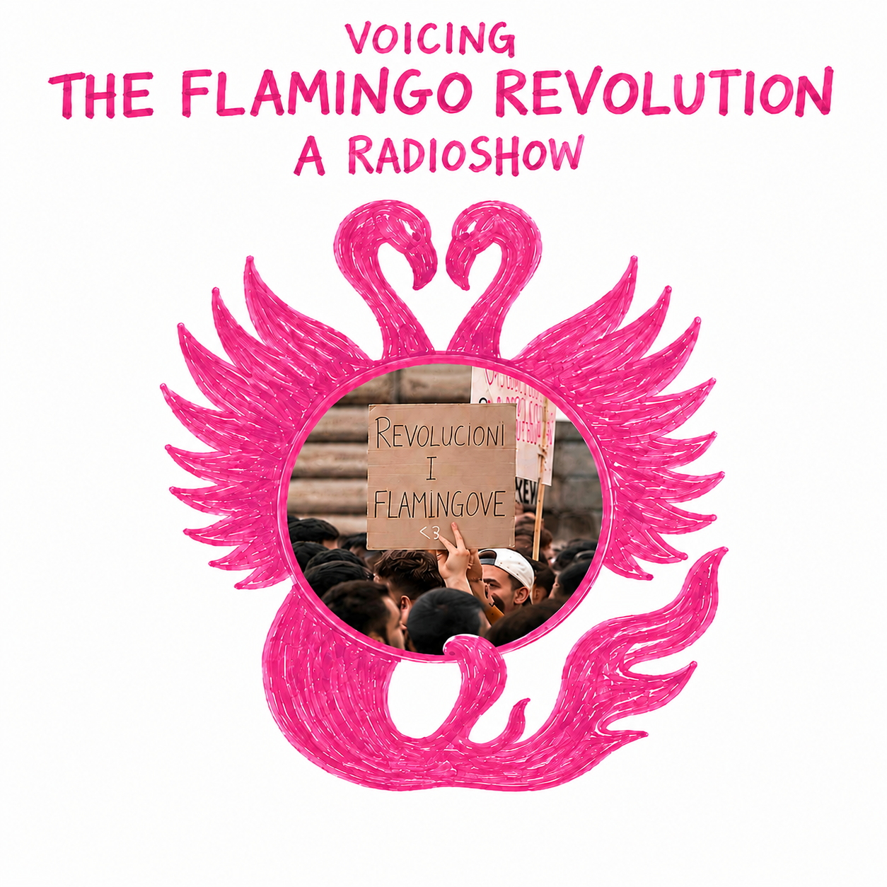Voicing the Flamingo Revolution